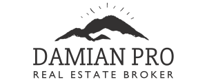 Damian Pro Logo